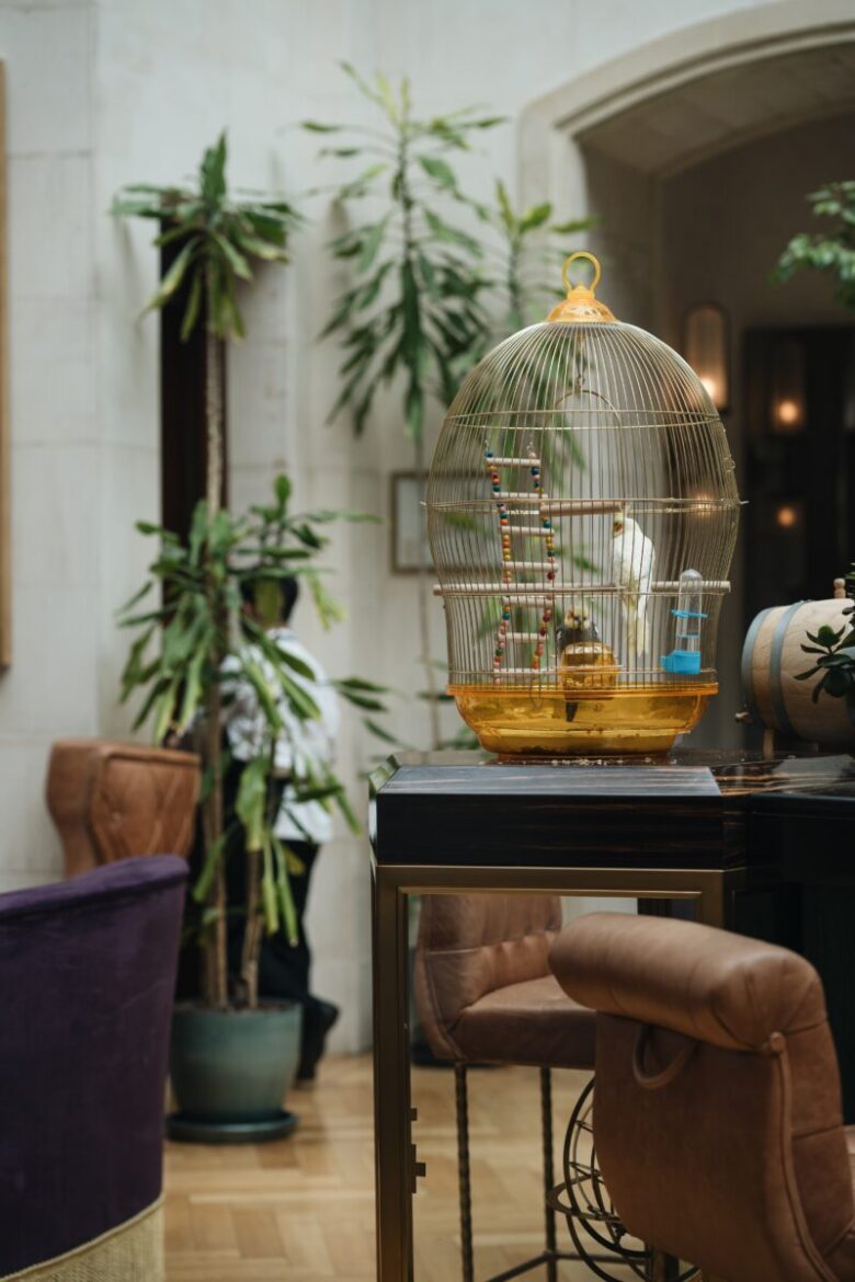 Gabbia per pappagallo.