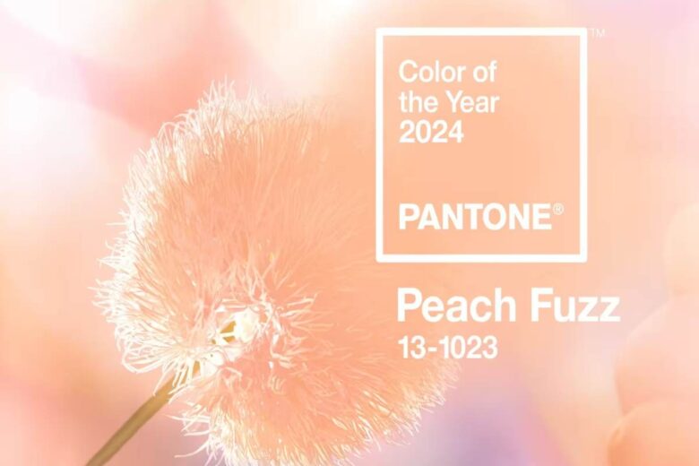 Pantone Peach Fuzz