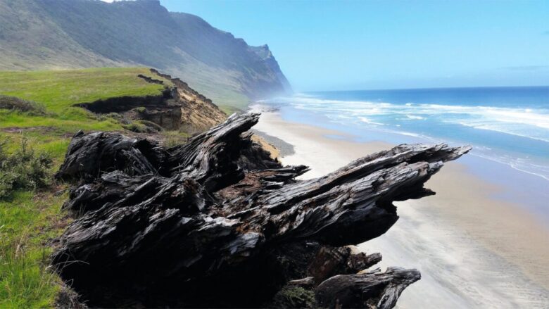 07_RIVA1920_KAURI_EARTH_SEA@2x