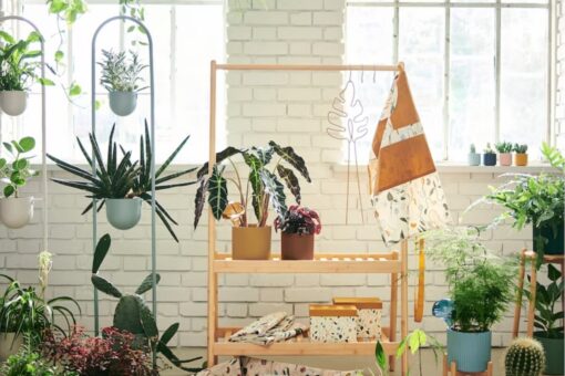 Collezione DAKSJUS Ikea: nuove soluzioni per chi ama il verde in casa