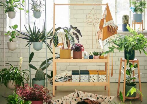 Organizzare le piante: 3 idee dalla nuova collezione IKEA