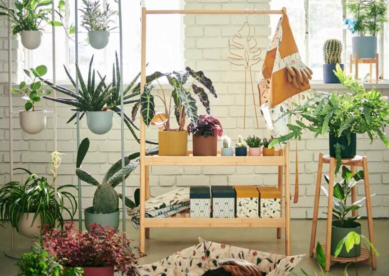 Collezione piante foto di IKEA