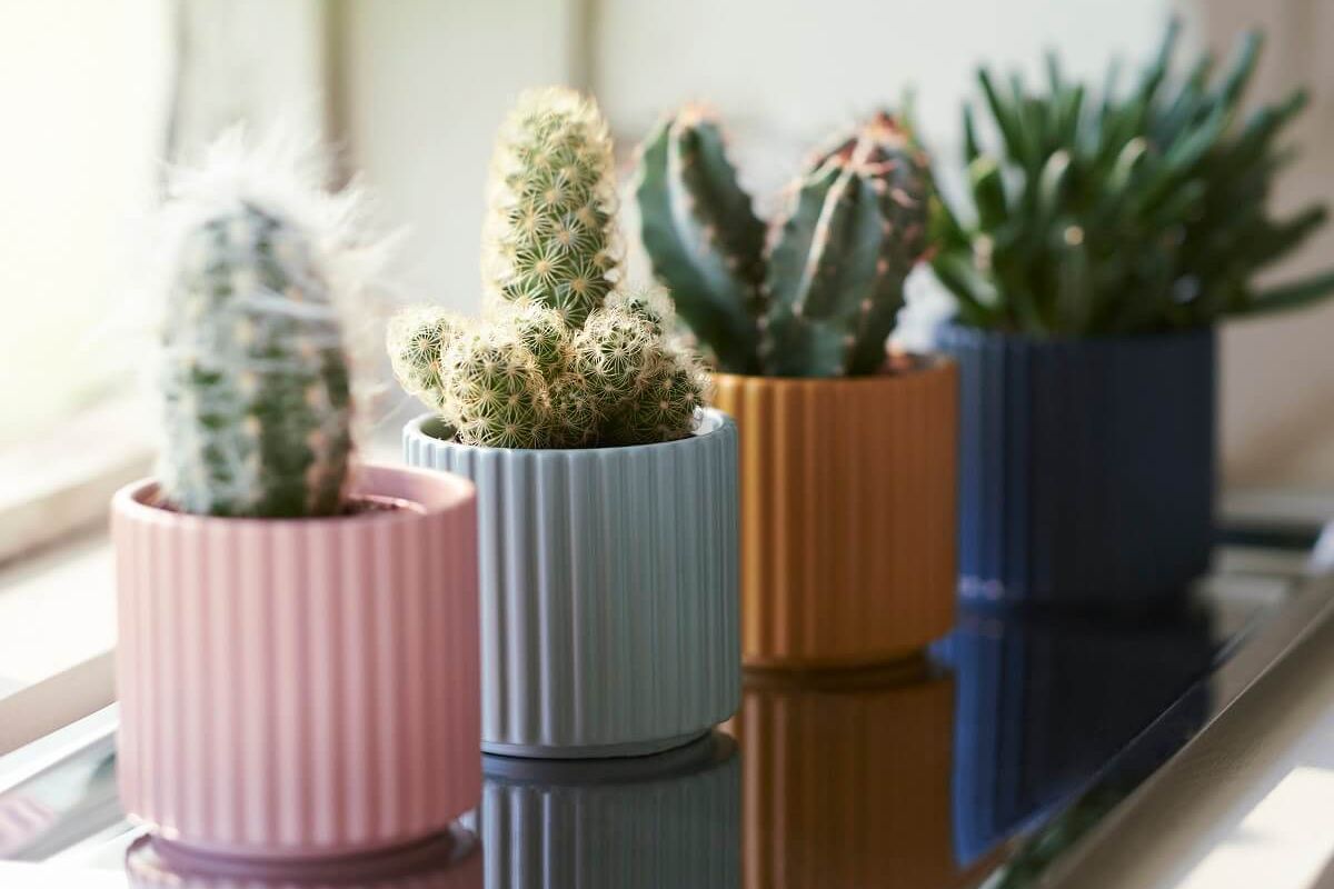 Organizzare le piante: 3 idee dalla nuova collezione IKEA