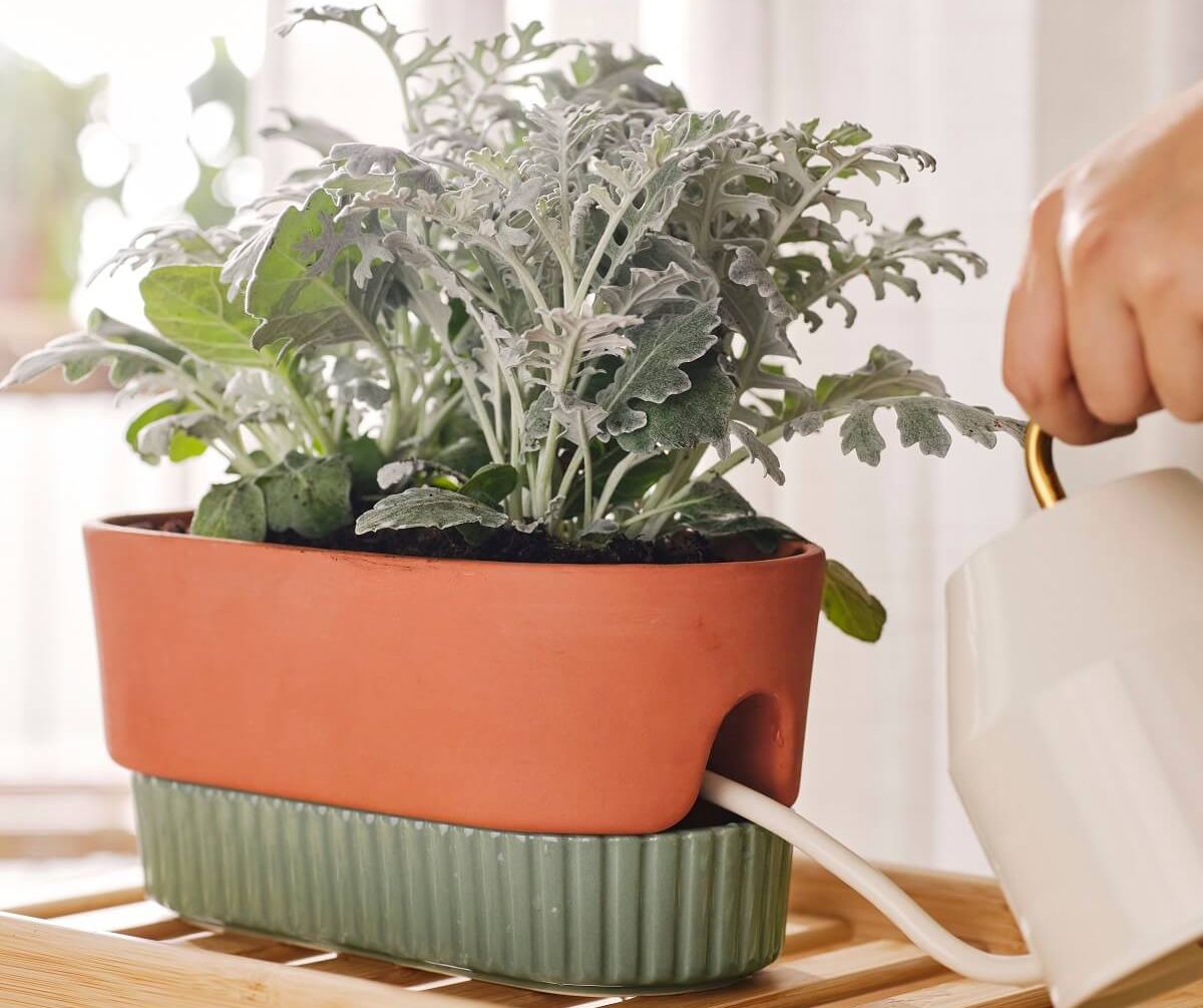 Organizzare le piante: 3 idee dalla nuova collezione IKEA