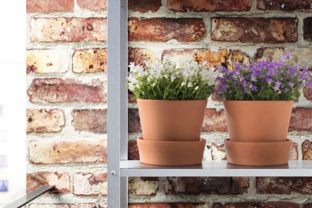 Primavera in arrivo: 3 piante da acquistare ora da IKEA