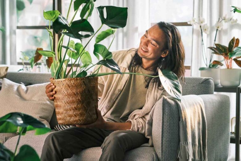 Piante foto di IKEA