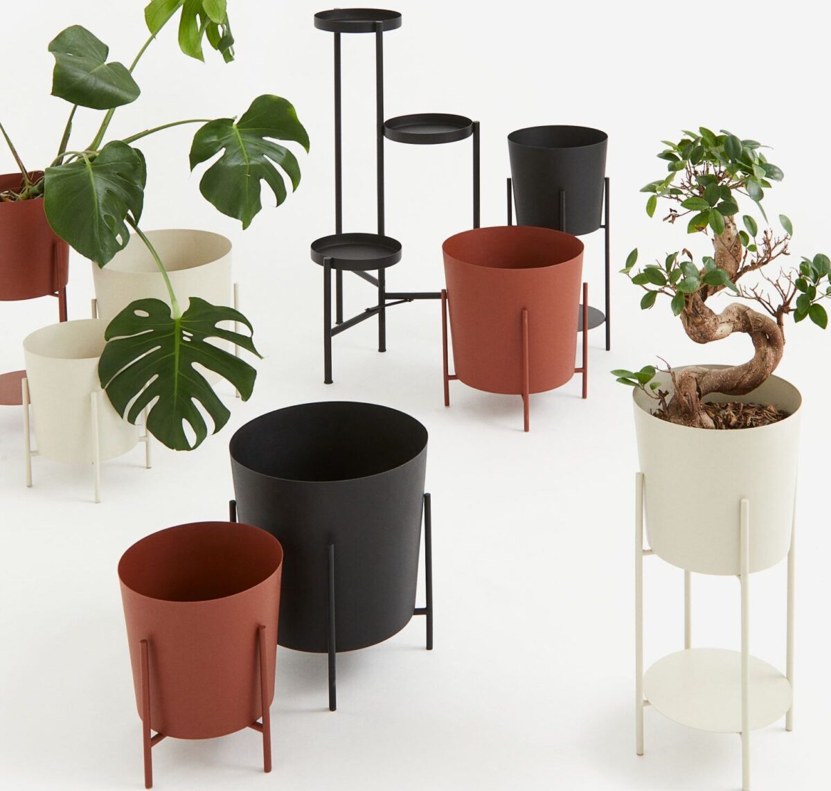 collezione novit&agrave; H & M Plant Lovers