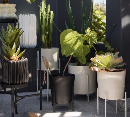 Collezione novità H&M Plant Lovers: soluzioni metalliche per le tue piante