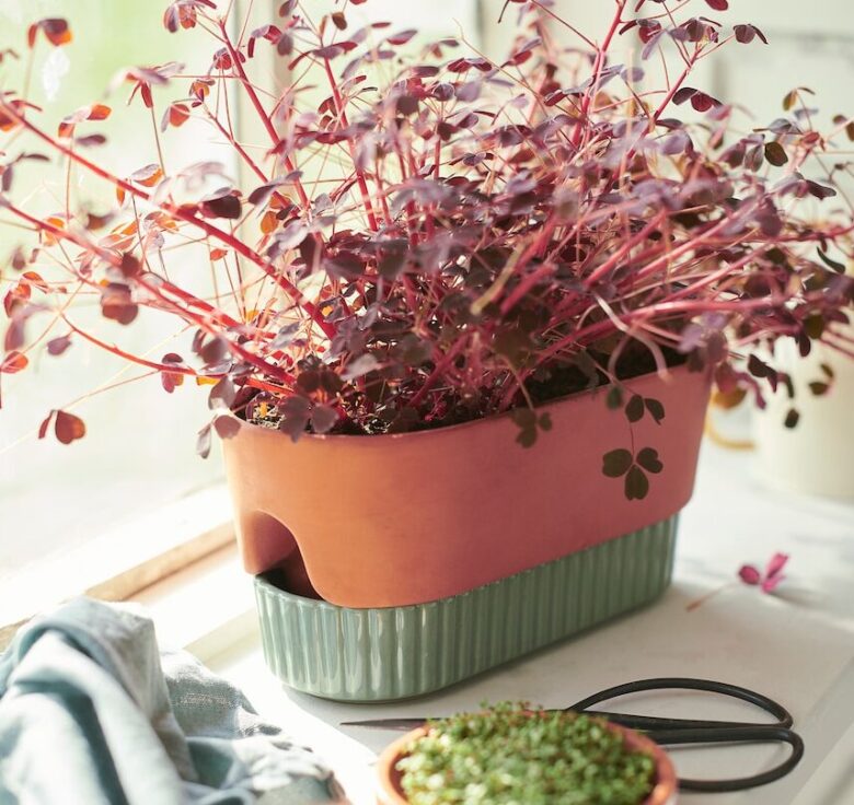 vasi a riserva d'acqua Ikea