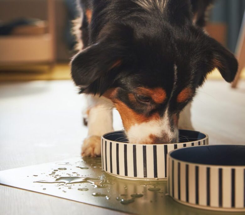 nuova serie UTSÅDD Ikea