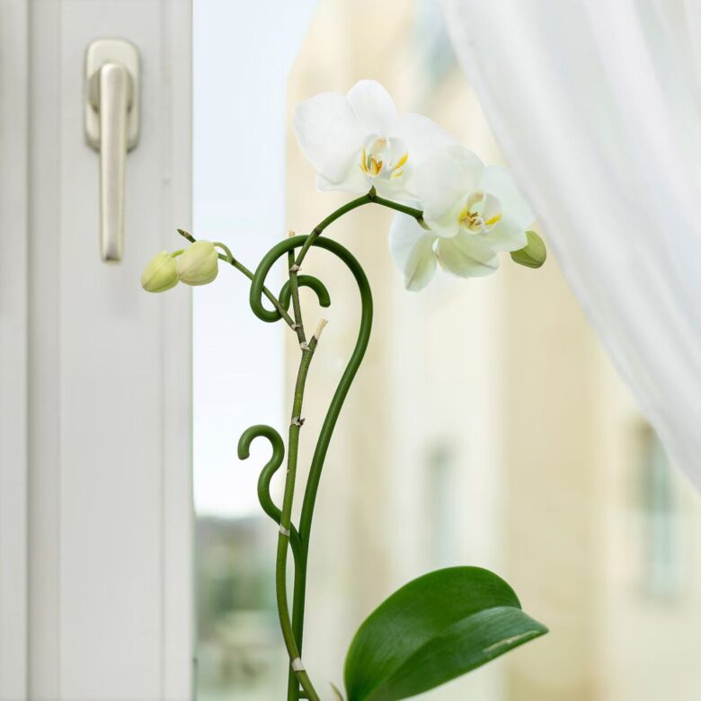 attrezzo da giardino