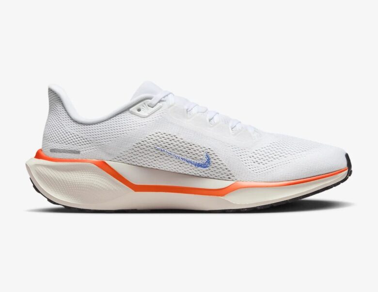 Nike Pegasus 41 Blueprint