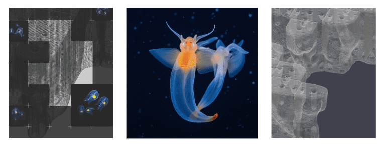 Chi ha paura dell’AI? L’algoritmo dialoga con il progetto Chi ha paura dell’AI? L’algoritmo dialoga con il progetto