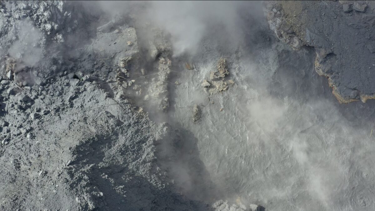 La natura come partner co-progettuale La natura come partner co-progettuale