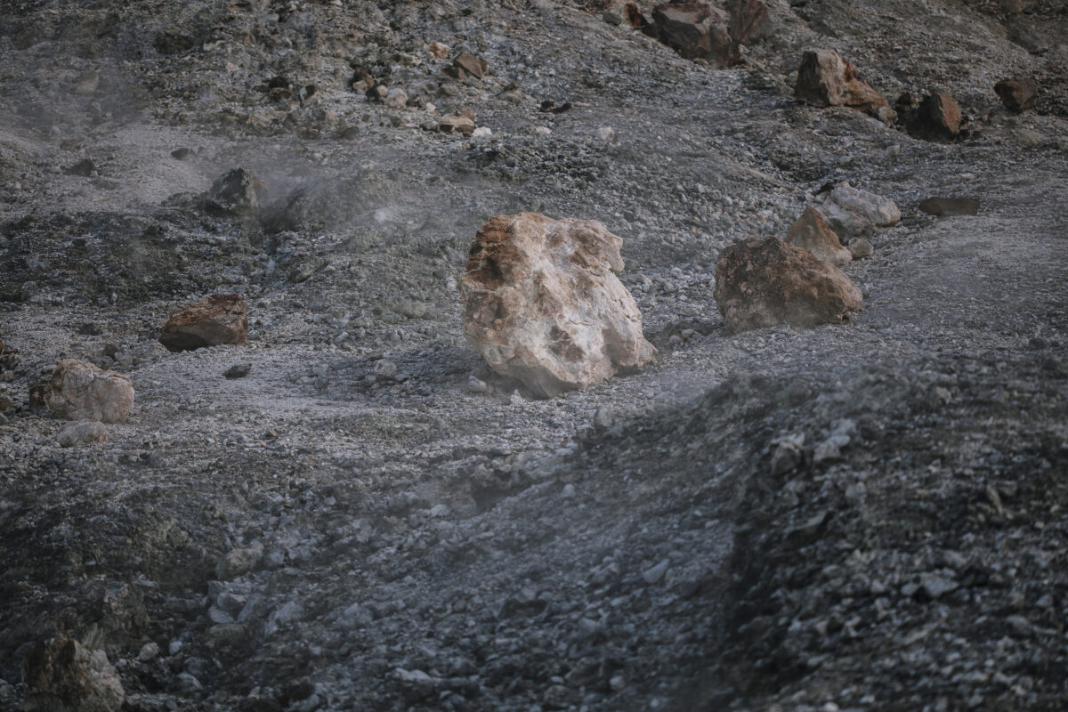 La natura come partner co-progettuale La natura come partner co-progettuale