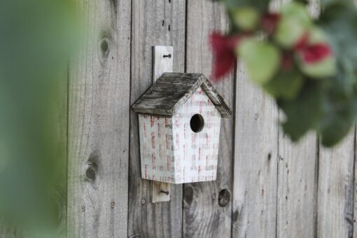 Casetta in giardino senza permessi: le multe che si rischiano