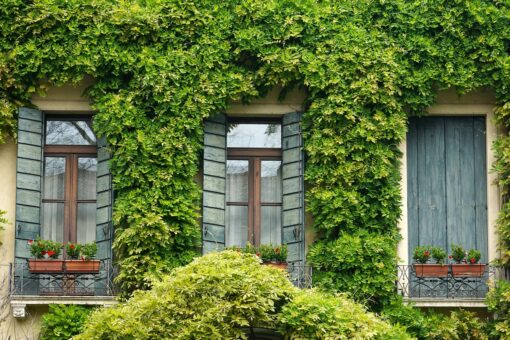 Rivestire la casa di verde: bonus e vantaggi sui consumi