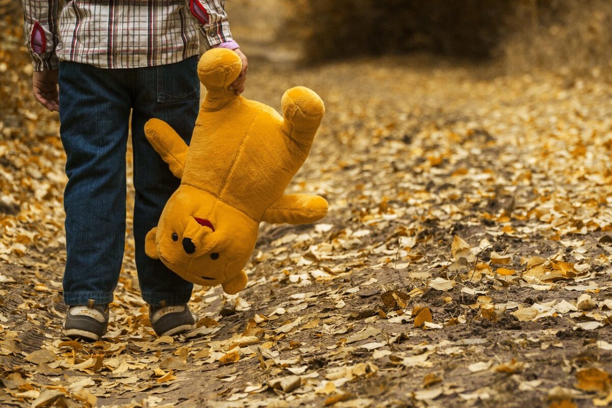 child, teddy bear, fall, nature, autumn, teddy, walk, stuffed toy, plush toy, boy, kid, young, leaves, outdoors