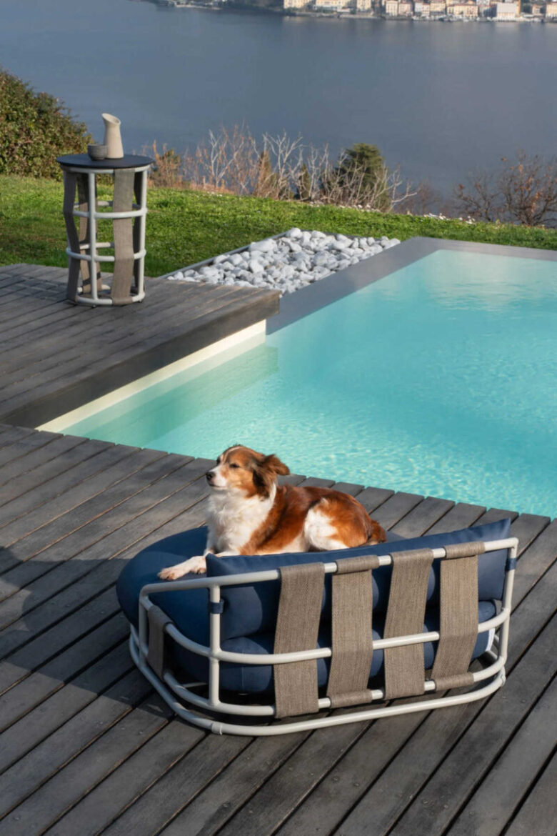 pet-world-rever-liberty-wrap