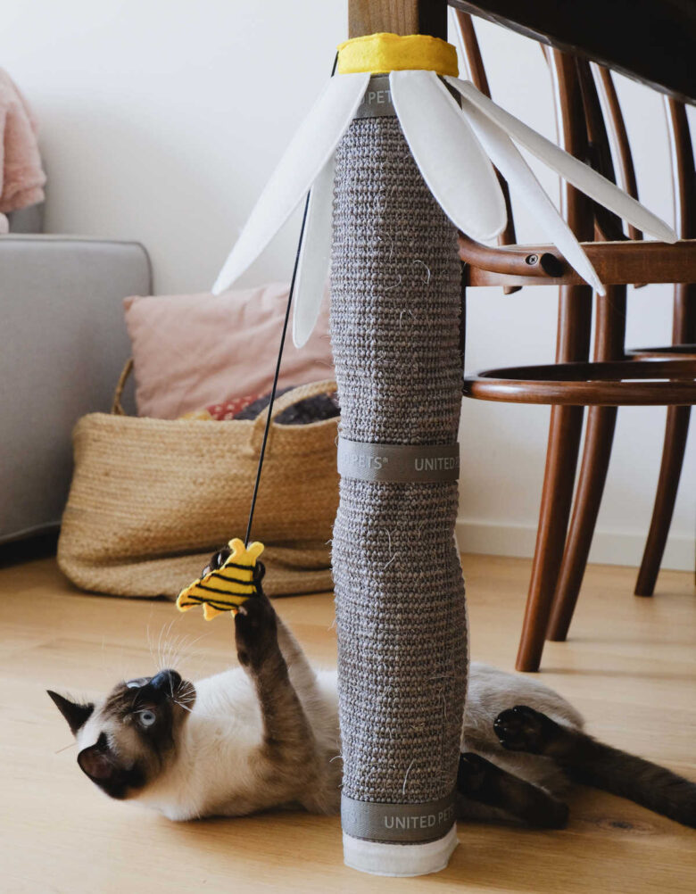 pet-world-citta-del-sole-margareth.1