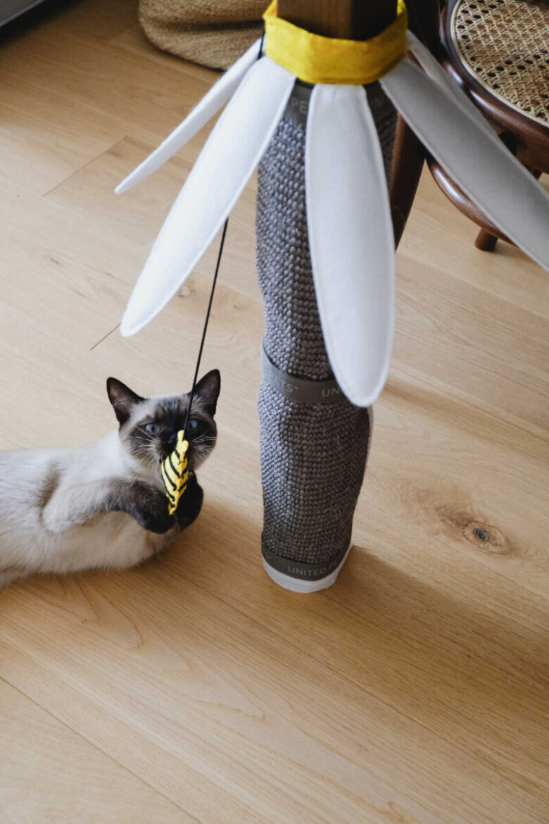 pet-world-citta-del-sole-margareth