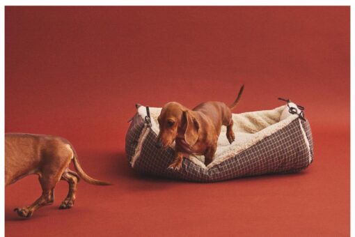 Zara Home coccola anche loro: la nuova linea che farà impazzire i pet lovers