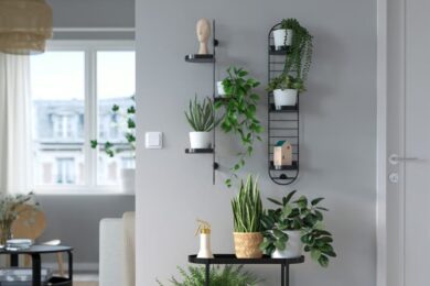 Non sai cosa regalare a chi ama il verde? Ikea ha già pronta una selezione per te