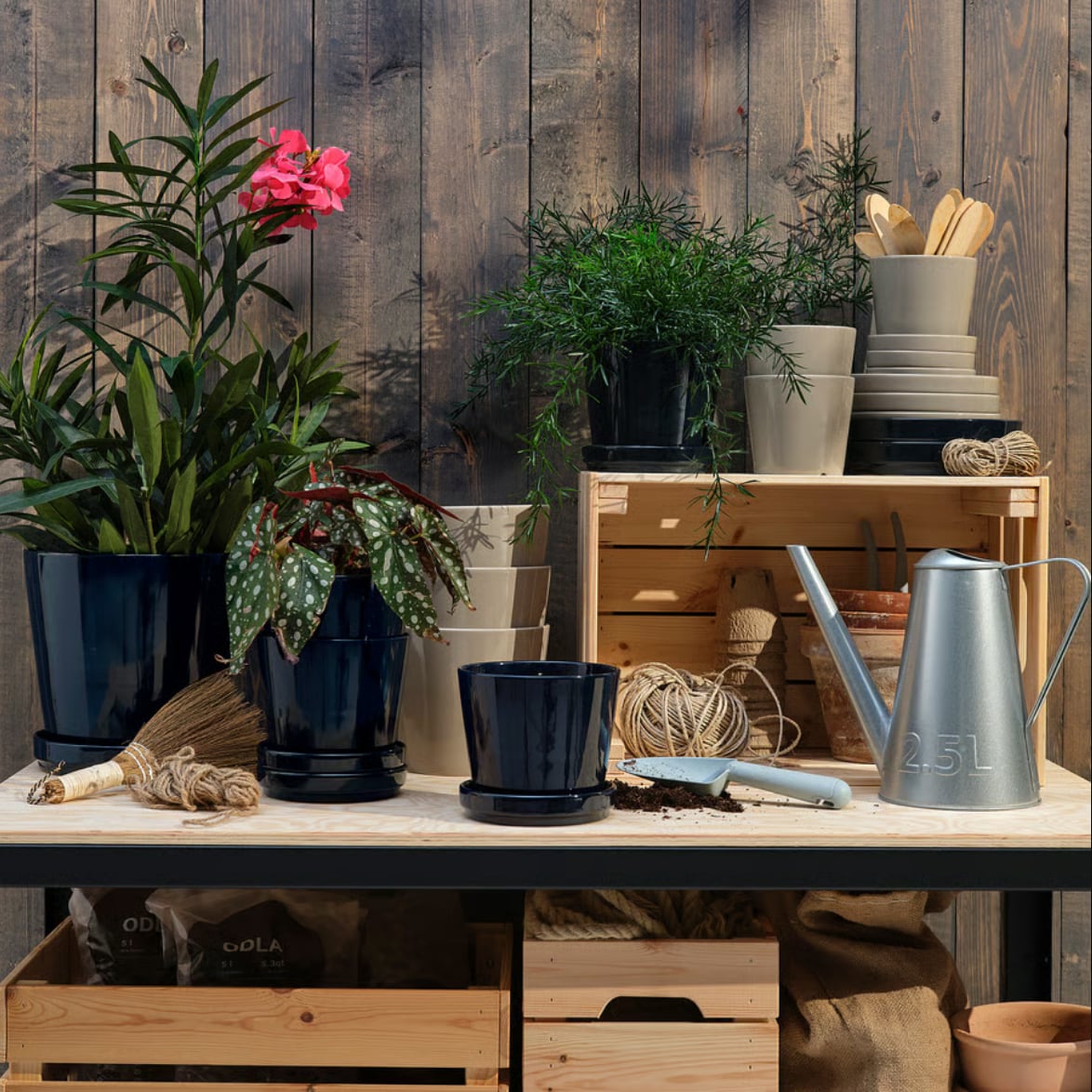 Non sai cosa regalare a chi ama il verde? Ikea ha gi&agrave; pronta una selezione per te