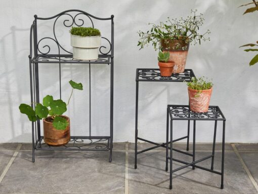 Attenzione: il giardino Lidl perfetto ti costa meno di quanto pensi