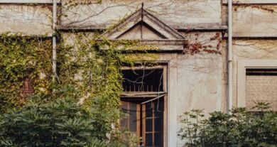 Fuorisalone 2026 Alcova: dove, quando, le novità