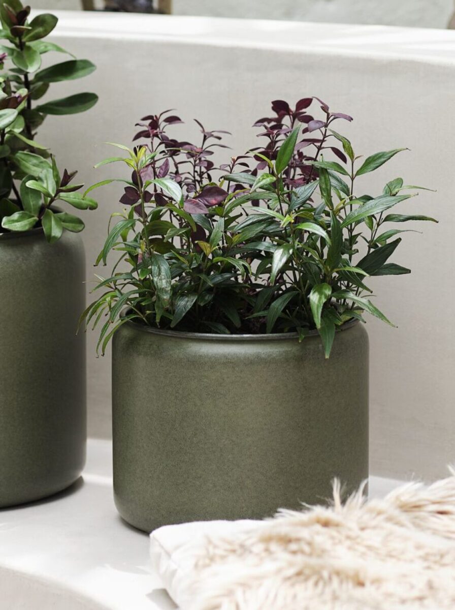 Le fioriere Jysk in promo stanno per finire: l’offerta &egrave; fino al 18 marzo 2026