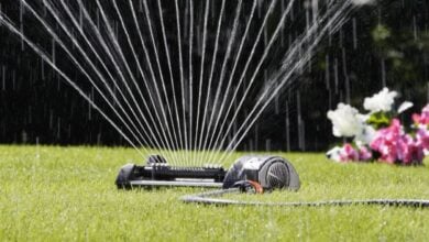 Vuoi risparmiare acqua? Scegli gli irrigatori Leroy Merlin per un prato perfetto senza sprechi