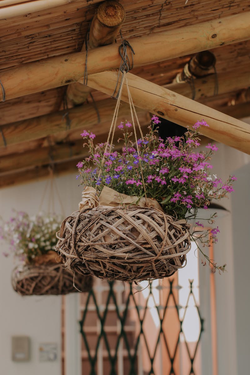Charming pink flowers in woven baskets hanging from rustic wooden ceiling outdoors. Charming pink flowers in woven baskets hanging from rustic wooden ceiling outdoors.
