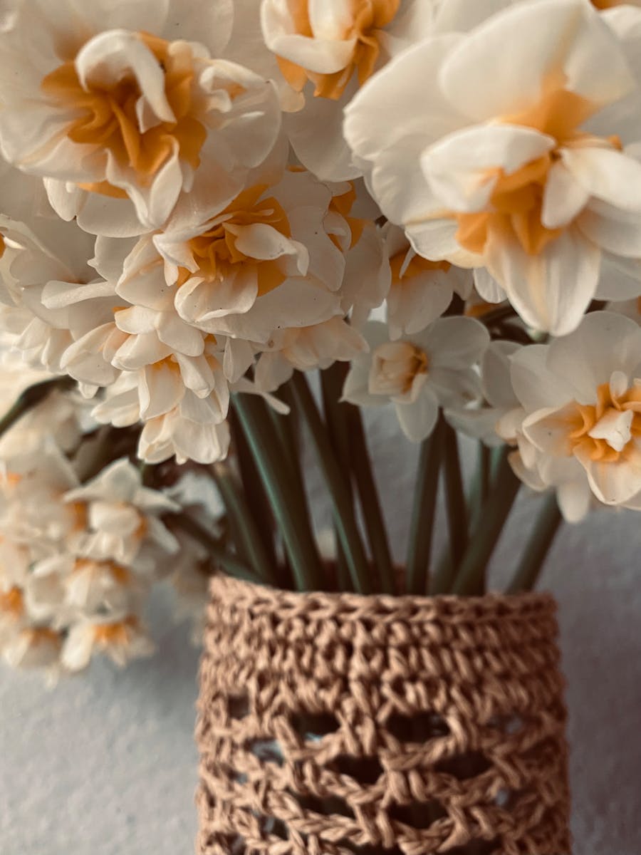 Soft focus of white and orange daffodils arranged in a handmade crochet vase. Soft focus of white and orange daffodils arranged in a handmade crochet vase.