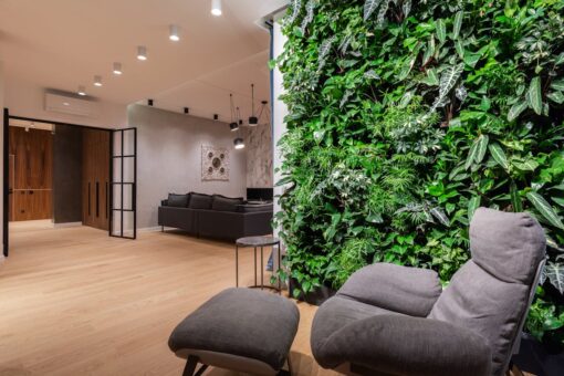 10 modi per creare un giardino in casa
