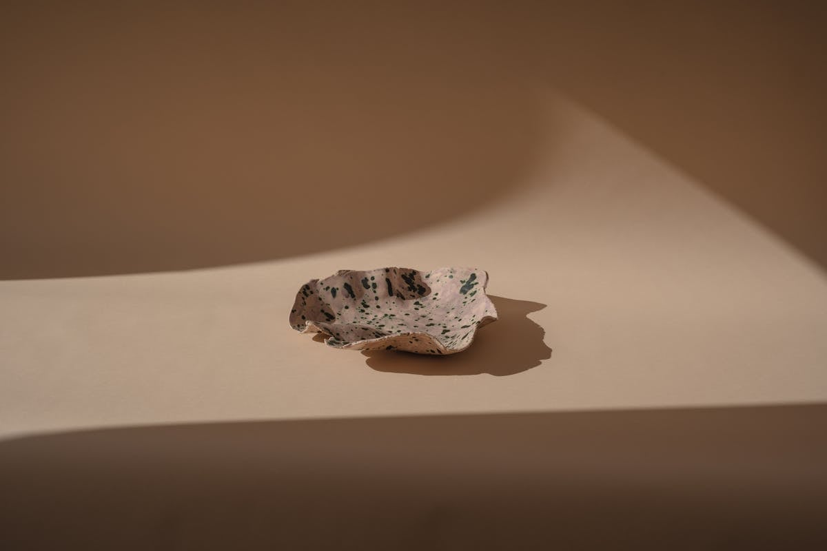 Artistic ceramic plate in a minimalist setting with dramatic lighting and shadows.