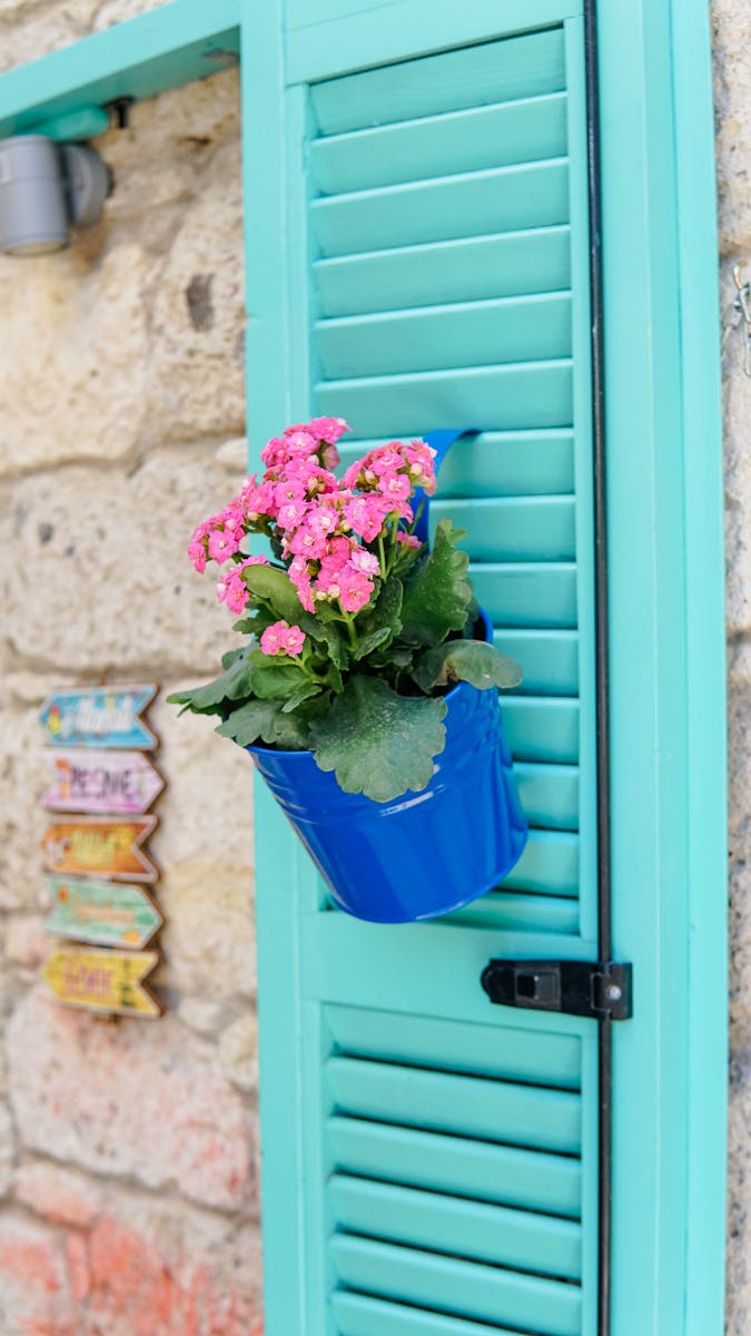 Vibrant pink flowers in a blue pot adorn turquoise window shutters, adding charm to rustic stone wall. Vibrant pink flowers in a blue pot adorn turquoise window shutters, adding charm to rustic stone wall.