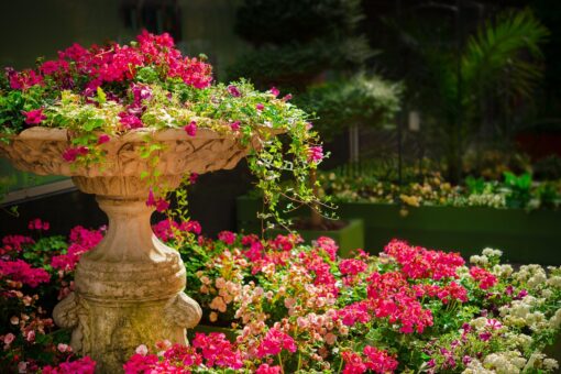 Come disporre le piante in giardino idee e consigli per un angolo di paradiso