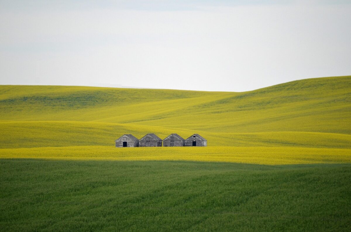 Come sfruttare un terreno abbandonato di campagna Come sfruttare un terreno abbandonato di campagna
