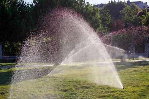 Impianto di irrigazione in giardino: fuori terra o interrato?