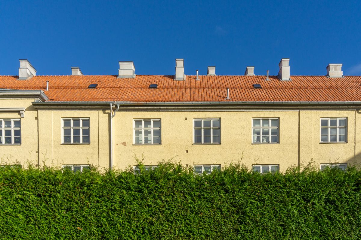 Charming Oslo apartment exterior with red rooftops and a lush green hedge under a clear blue sky.