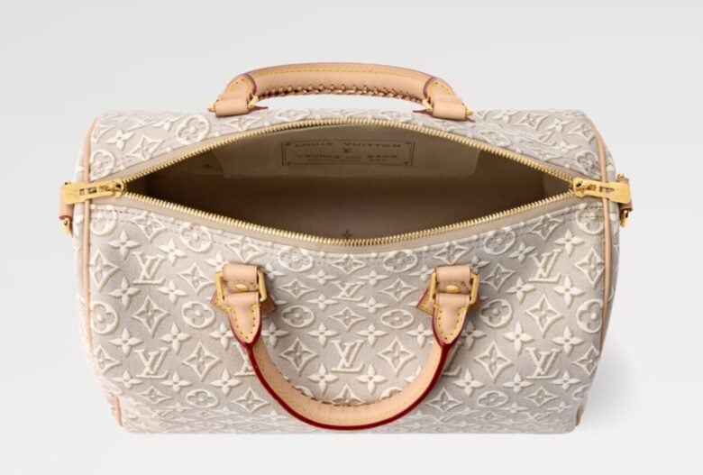 Louis Vuitton Speedy Soft (5)
