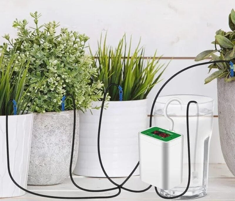 Le piante non vanno in vacanza: ecco il kit irrigazione Leroy Merlin che le annaffia al posto tuo