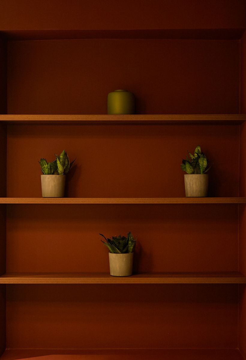 A minimalist shelving unit featuring decorative potted plants and a candle against a warm backdrop. A minimalist shelving unit featuring decorative potted plants and a candle against a warm backdrop.