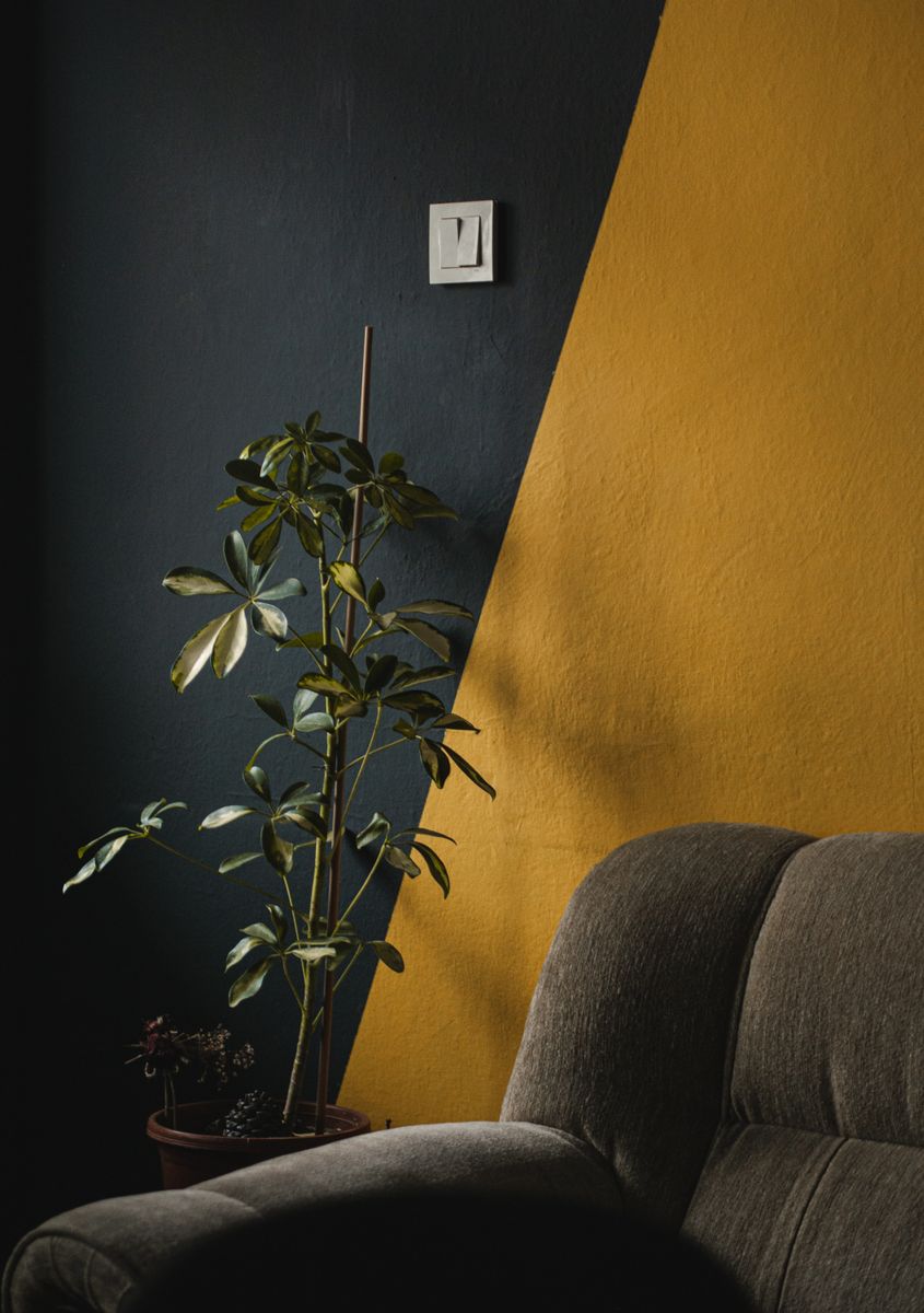 Stylish interior featuring a vibrant yellow accent wall, green plant, and gray armchair in Istanbul, Türkiye. Stylish interior featuring a vibrant yellow accent wall, green plant, and gray armchair in Istanbul, Türkiye.