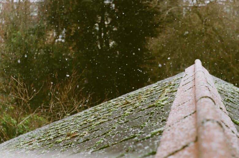 Snow gently falls on a mossy rooftop in London, capturing a serene winter scene.