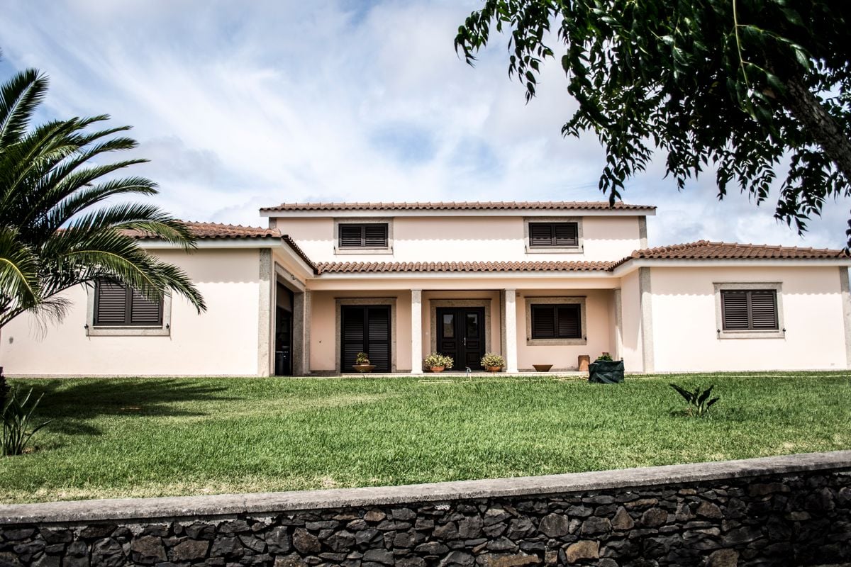 A stylish modern family home with a lush lawn and palm tree under a bright sky. A stylish modern family home with a lush lawn and palm tree under a bright sky.