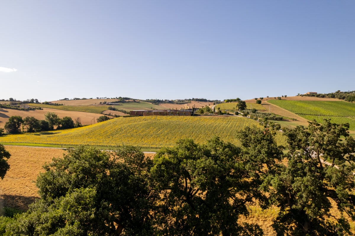 Per un’architettura di relazione. L’ampliamento del Pastificio Agricolo Mancini evoca tempo lento e cura. Per un’architettura di relazione. L’ampliamento del Pastificio Agricolo Mancini evoca tempo lento e cura.