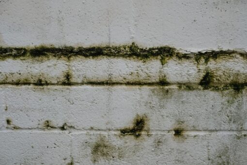 Infiltrazioni d’acqua casa: cause e rimedi
