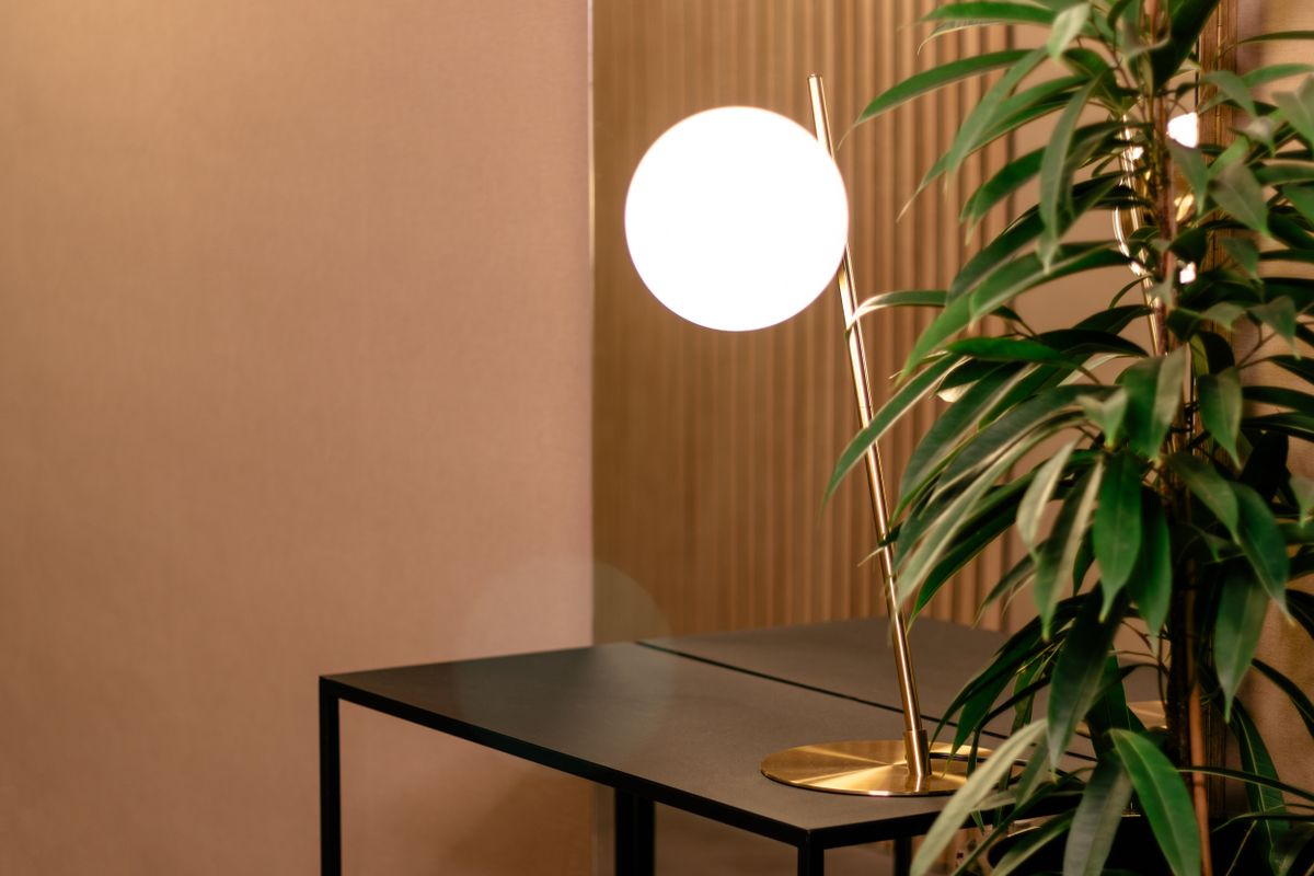 Sophisticated interior featuring a modern lamp and lush green plant for a contemporary aesthetic.